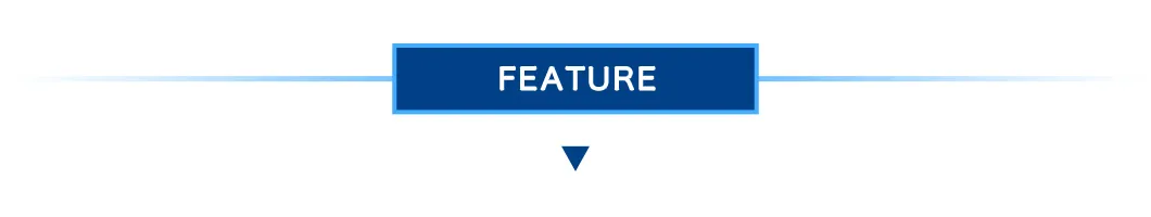 2 Post Car Lift/Hydraulic Car Lift with 4 Tons Lifting Capacity