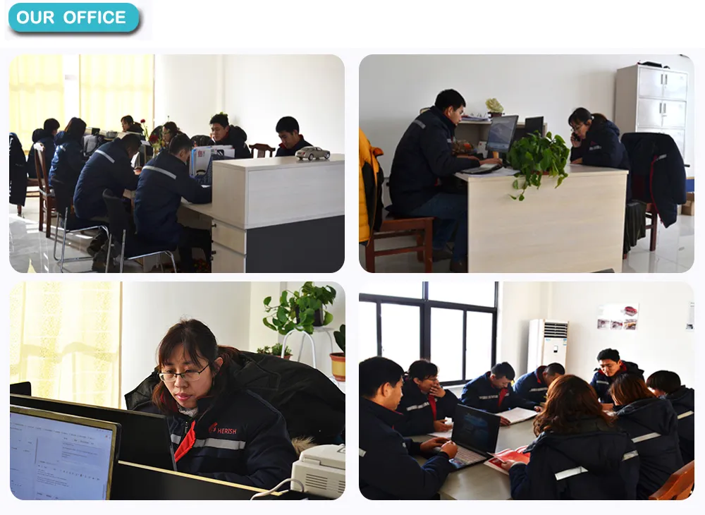 Moveable and Repaired Four Post Auto/Car Parking Lift